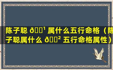 陈子聪 🌹 属什么五行命格（陈子聪属什么 🌲 五行命格属性）